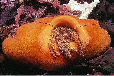 《星刃》4月26日发售登陆PS5 新中文宣传片公开